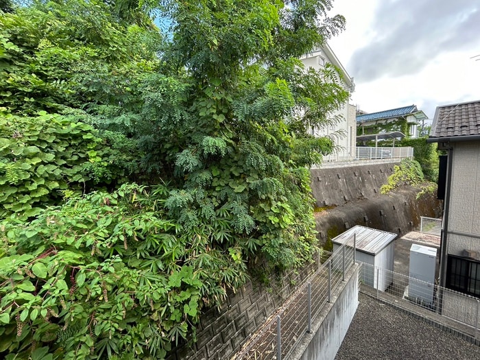 室内からの展望 小松島ハイツ