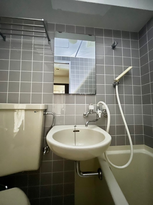 洗面 ロイヤルヒルズ台原Ⅰ