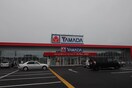 ヤマダ電機(電気量販店/ホームセンター)まで600m グリ－ティング