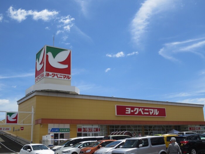 ヨークベニマル遠見塚店(スーパー)まで800m ホワイトキャッスル４番館