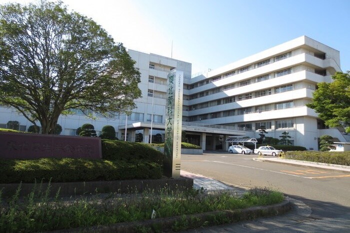 東北医科薬科大病院(病院)まで1350m エストゥディオ