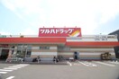 ツルハドラッグ南小泉店(ドラッグストア)まで420m 中倉麻布マンション