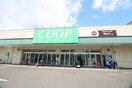 みやぎ生協南小泉店(スーパー)まで510m 中倉麻布マンション