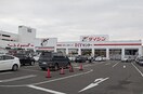 ダイシン　幸町店(電気量販店/ホームセンター)まで800m ソレイユ仙台