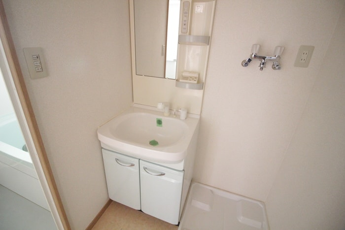 洗面 ﾊﾟｰｸﾊｲﾂ清水沼