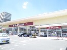 ヨークベニマル新田東店(スーパー)まで450m ハバ－ドリ－ム六番館