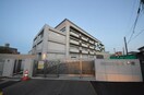 新田小学校(小学校)まで600m 小畑第２マンション