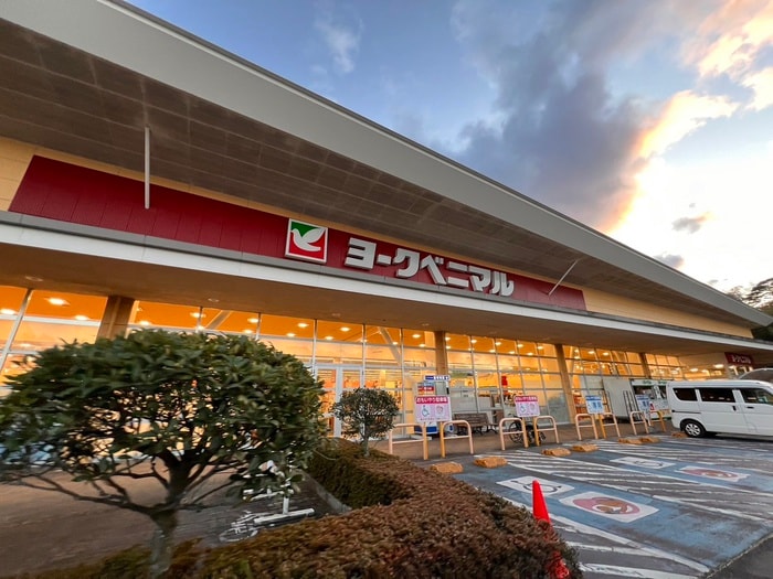 ヨークベニマル 亘理店(スーパー)まで1500m HIRCH　HOUSE　C