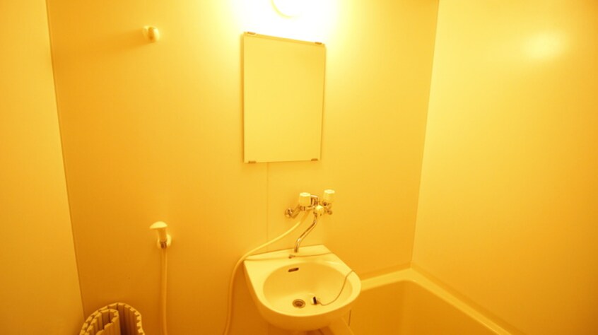 洗面 メゾンふじ