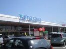 yamazawa(スーパー)まで687m ベルシティ新富