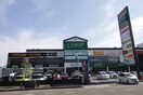 レキシントンプラザ(ショッピングセンター/アウトレットモール)まで200m アルベルーチェ八幡