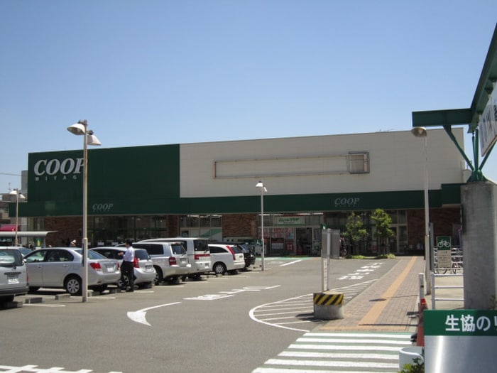 ＣＯＯＰ榴ヶ岡店(スーパー)まで437m Ａｒｖｉｔａ宮城野
