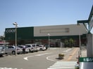 ＣＯＯＰ榴ヶ岡店(スーパー)まで437m Ａｒｖｉｔａ宮城野