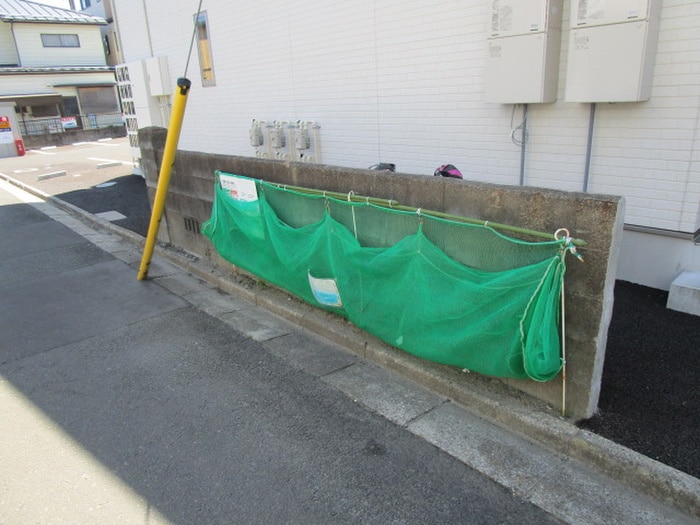 その他 Ｖｉｎ　ｐｅａｒｌ