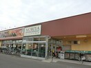 フレッシュフードモリヤ沖野店(スーパー)まで170m アヴァンセタウンＭ棟(上飯田)