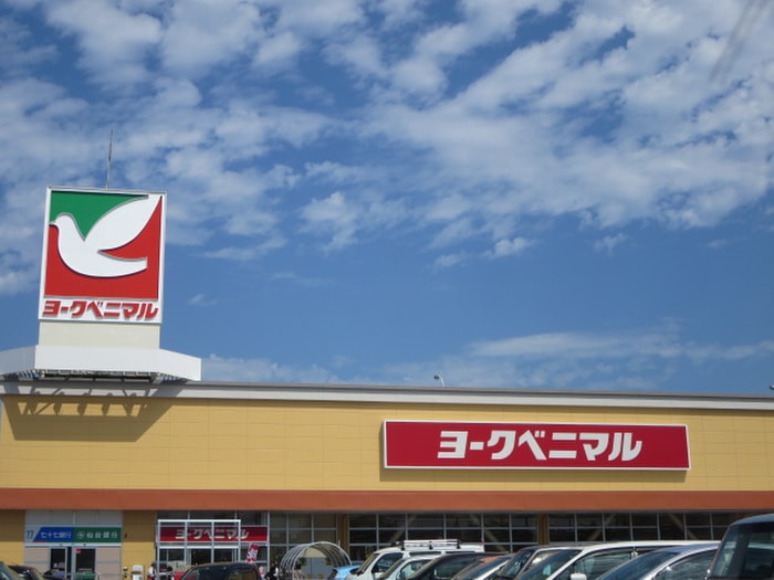 ヨークベニマル遠見塚店(スーパー)まで650m グランディール
