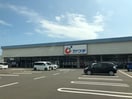 カワチ薬品美田園店(ドラッグストア)まで223m アルモニ－パル
