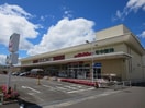 ヨークベニマル福田町店(スーパー)まで520m セゾンラーゴ