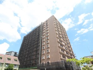 ﾅｲｽｱｰﾊﾞﾝ大和町ｽﾃｲﾂ(101)