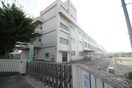 仙台市立中野中学校(中学校/中等教育学校)まで1400m マリンハイツＢ
