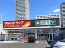 ツルハドラッグ 仙台通町店(ディスカウントショップ)まで280m ﾌﾞﾗｲﾄｼﾃｨ柏木