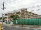 蒲町小学校(小学校)まで873m マニフィック・ベア霞