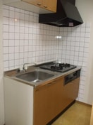 キッチン Ｃｏｌｌｅｇｅ　Ｐａｒｋ１２