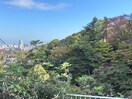 室内からの展望 キャラメル館