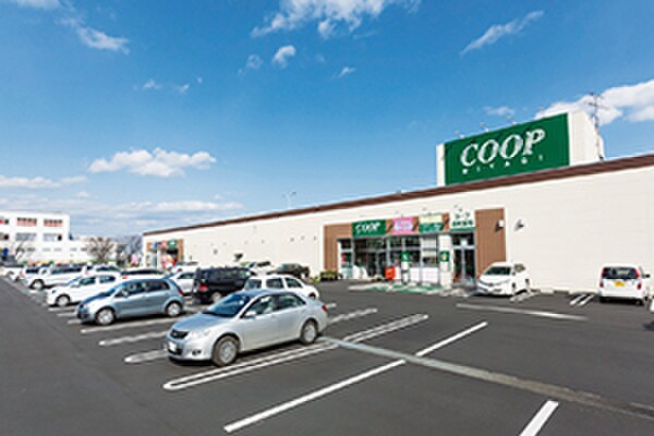 COOP(スーパー)まで130m 国見ケ丘１丁目千田方貸家