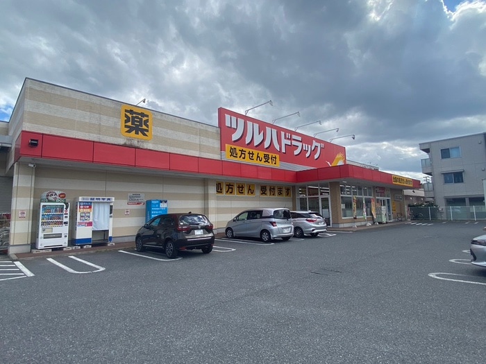 ツルハドラック(ドラッグストア)まで250m リエス長町南