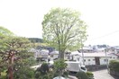 室内からの展望 ｹﾔｷハイツ