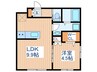 レグルスさくら町 1LDKの間取り