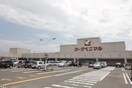 ヨークベニマル 岩沼店(スーパー)まで1100m エステート八島