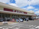 ヨークベニマル 仙台田子西店(スーパー)まで1800m コ－ポ福田町Ⅱ