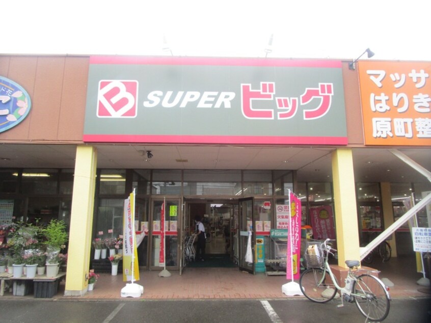 ビッグ(スーパー)まで734m グランシャトレ－