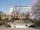 若林区役所(役所)まで615m アビリア南小泉