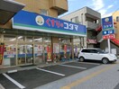 クスリのコダマ五橋店(ドラッグストア)まで156m ロイヤルハイツ東八