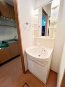 洗面 ソルビオス金剛院