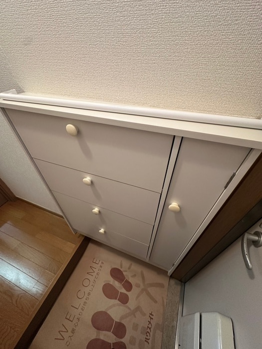靴箱 ルースト・256
