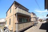 サンフラワー