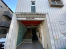 その他 ｾﾞﾙｺﾊﾞ上杉
