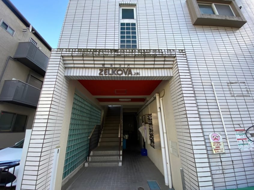 その他 ｾﾞﾙｺﾊﾞ上杉
