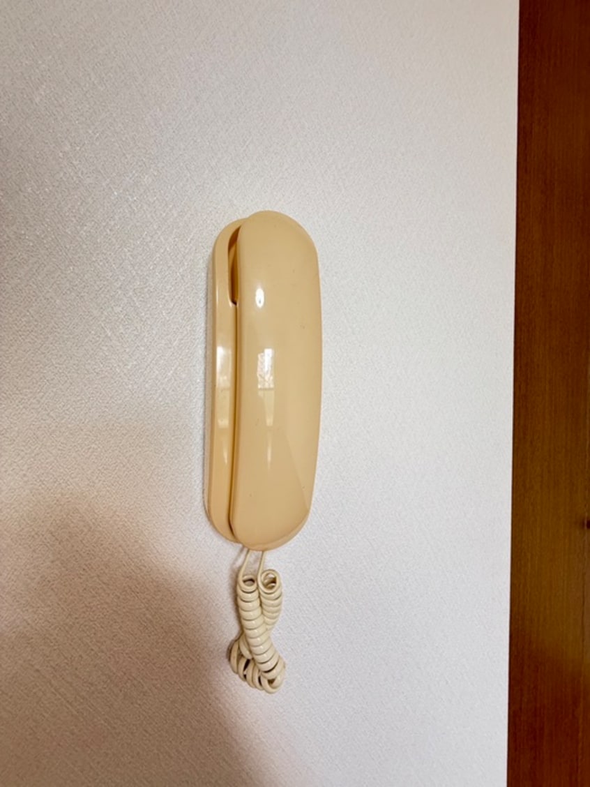 内観写真 ホルンハイツ