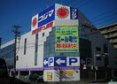 コジマ電気　泉中央店(電気量販店/ホームセンター)まで800m ボヌ－ル泉中央