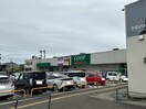 COOP miyagi 柳生店(スーパー)まで400m ラスティコ－ト南仙台