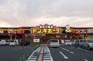 ドンキホーテ仙台南店(ディスカウントショップ)まで1000m ｺﾋﾟｽ南仙台