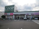 みやぎ生協　岩沼店(スーパー)まで800m メリディアン岩沼壱番館