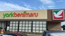 ヨークベニマル 多賀城店(スーパー)まで300m ハイブリッジコートⅡ