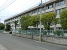 沖野小学校(小学校)まで653m メルシーハイツ飯田Ｋ棟