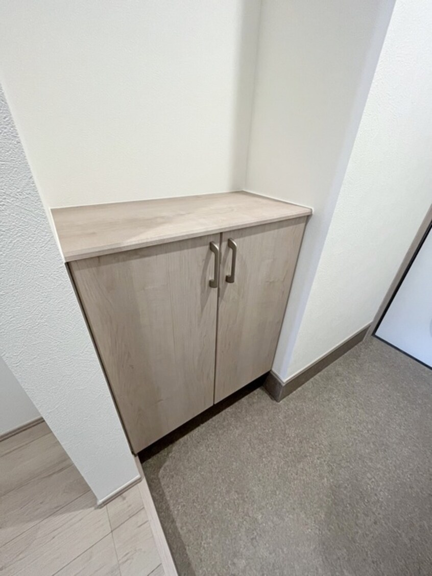 靴箱 プログレス